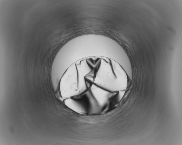 X0000113000033200909241310