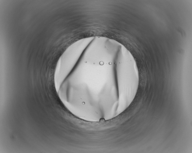 X0000113000034200909241310