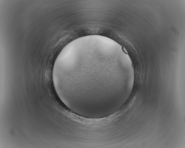 X0000113000035200909241310