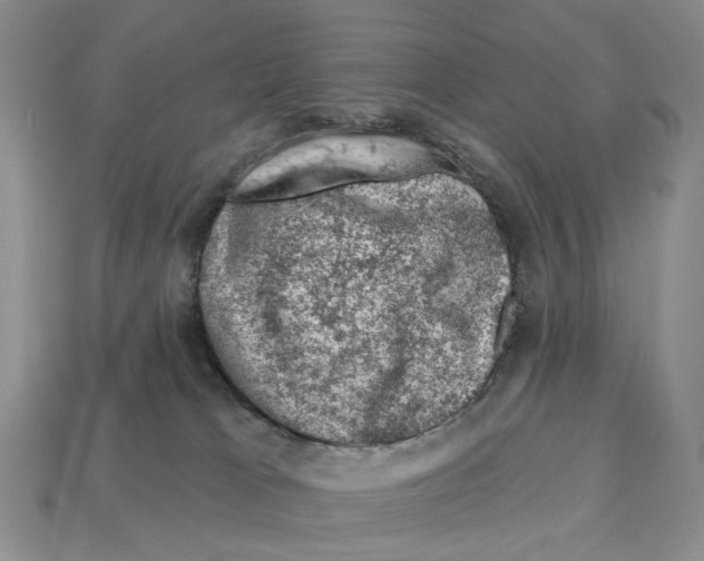 X0000113000037200909241310