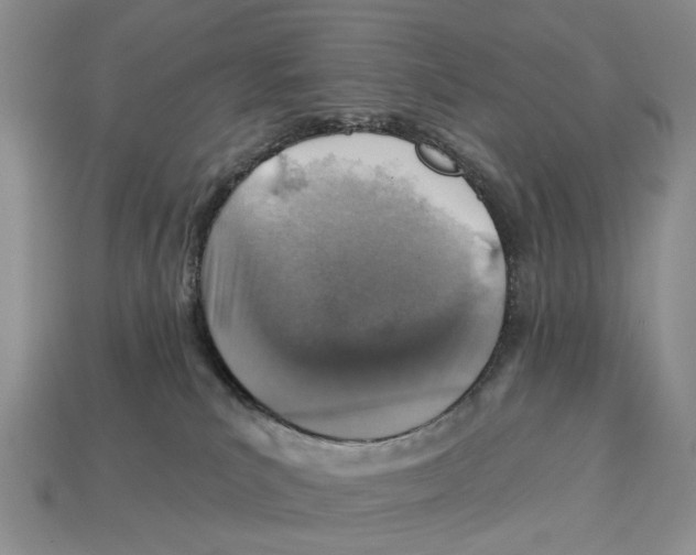 X0000113000039200909241310