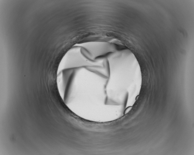 X0000113000040200909241310