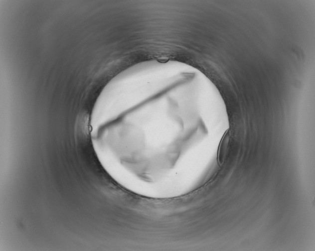 X0000113000041200909241310