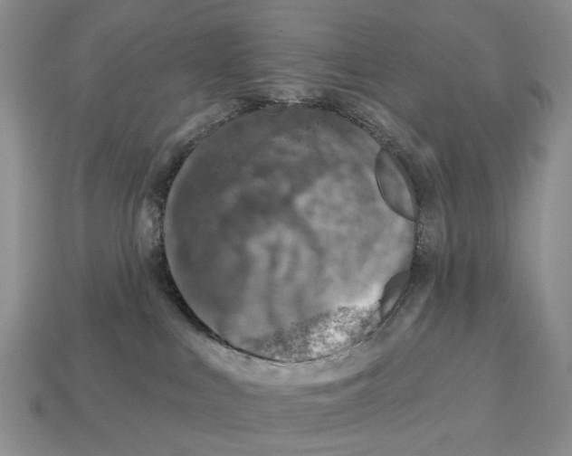 X0000113000043200909241310