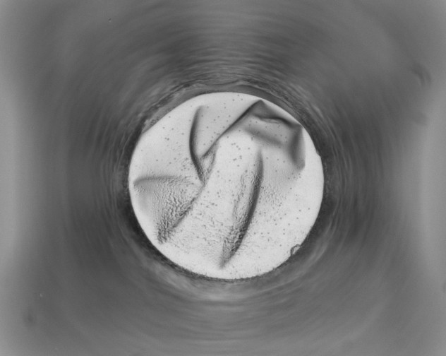 X0000113000044200909241310