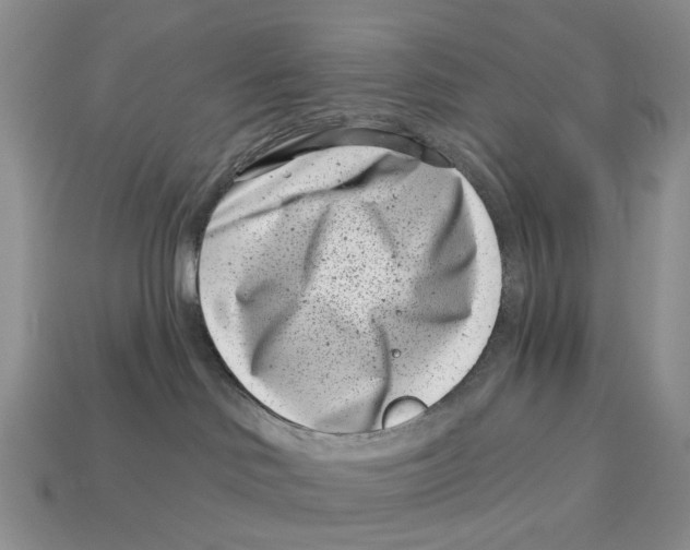 X0000113000046200909241310