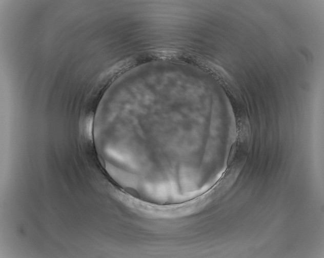 X0000113000047200909241310