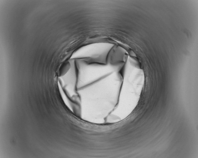 X0000113000048200909241310