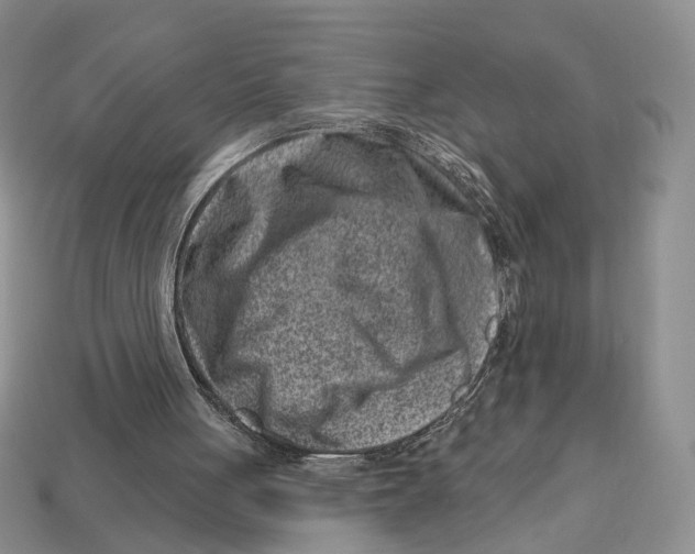 X0000113000051200909241310