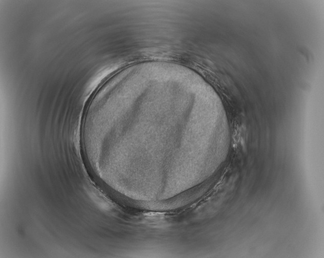 X0000113000052200909241310