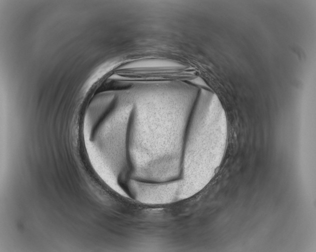 X0000113000054200909241310