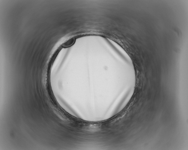 X0000113000056200909241310