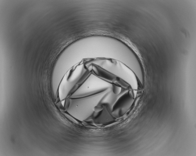 X0000113000057200909241310