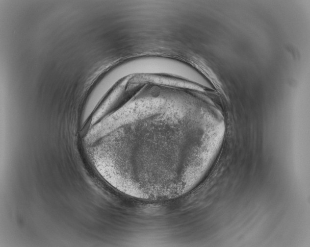 X0000113000058200909241310