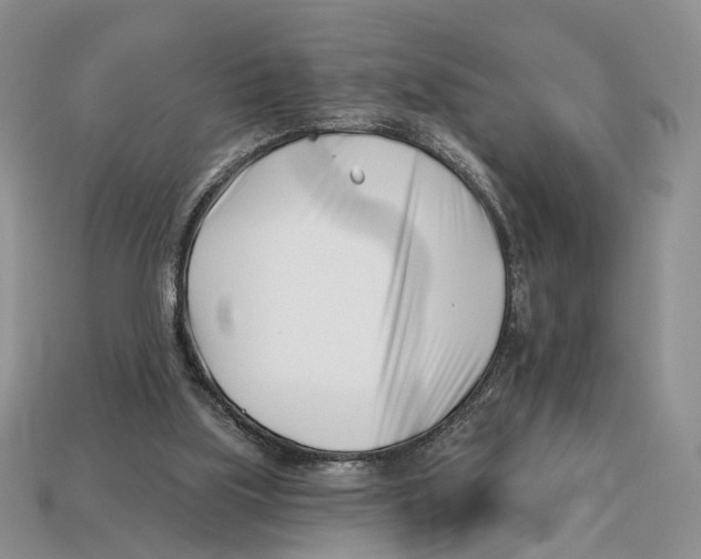 X0000113000059200909241310