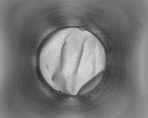 X0000113000060200909241310