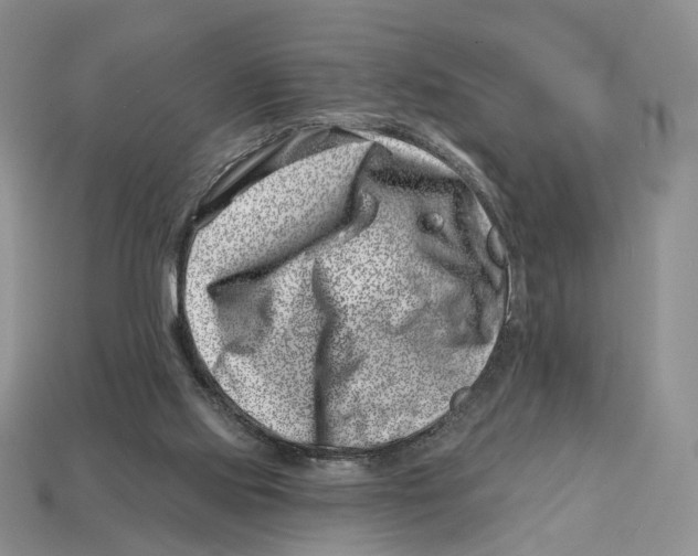 X0000113000061200909241310