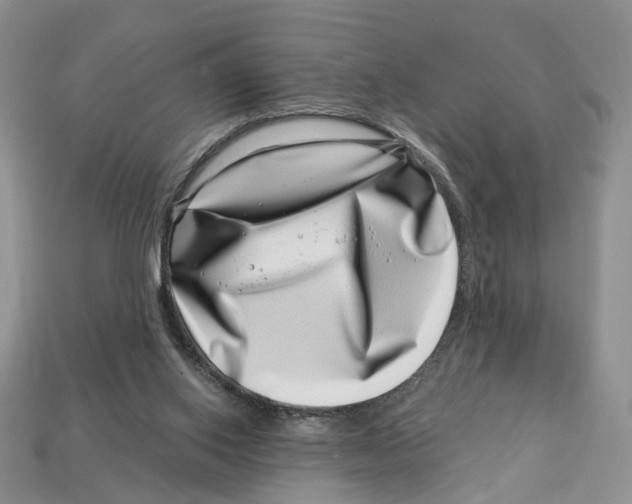 X0000113000062200909241310