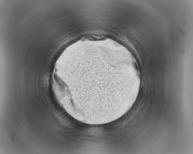 X0000113000063200909241310