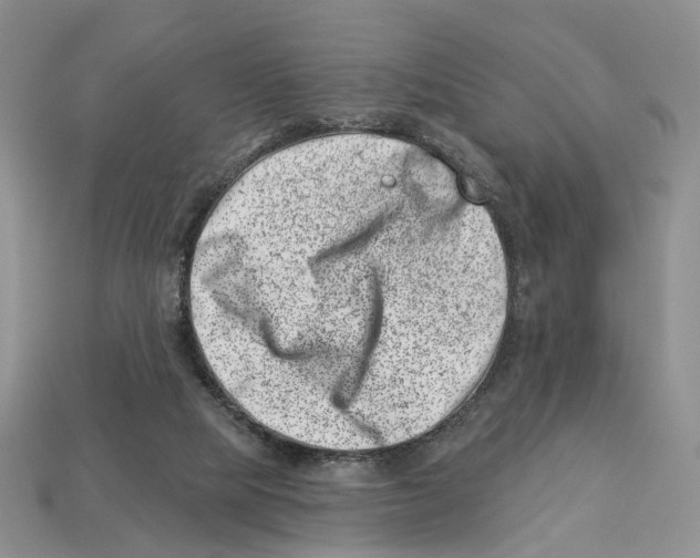 X0000113000065200909241310