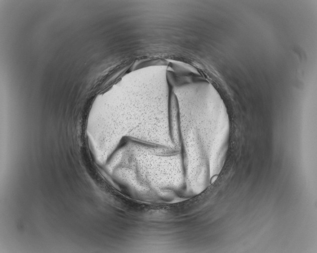 X0000113000066200909241310