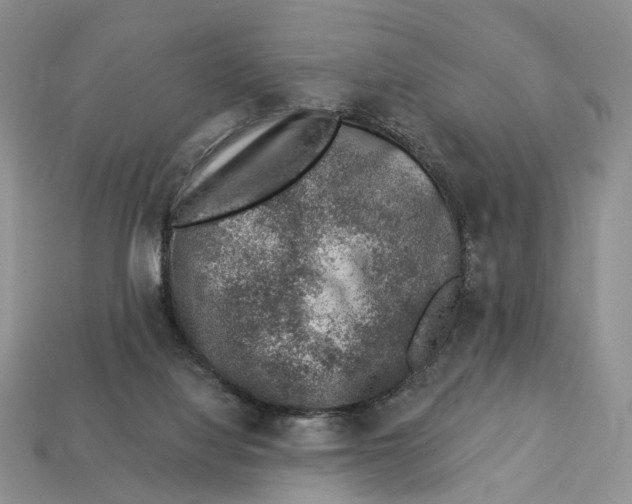 X0000113000068200909241310