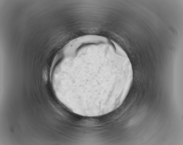 X0000113000069200909241310