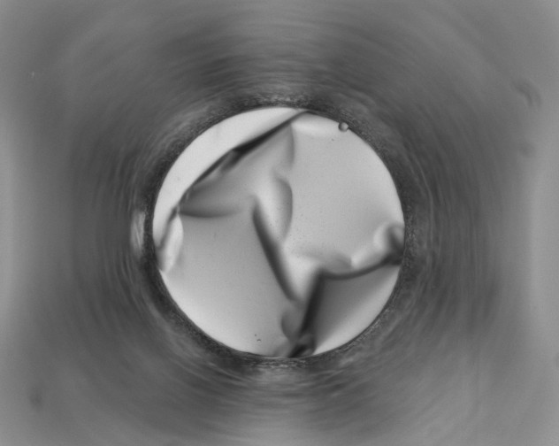 X0000113000070200909241310