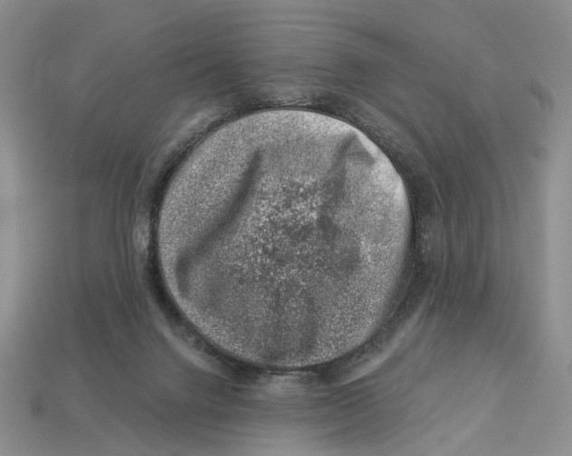 X0000113000072200909241310