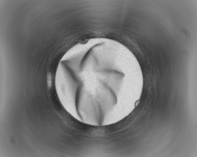 X0000113000075200909241310