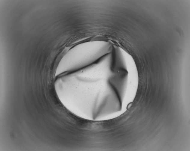 X0000113000078200909241310