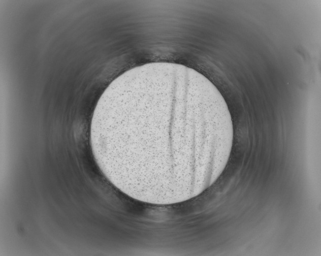 X0000113000079200909241310