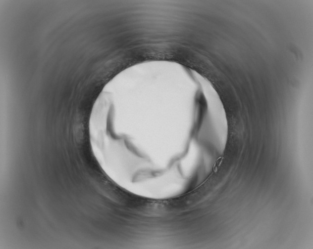 X0000113000080200909241310