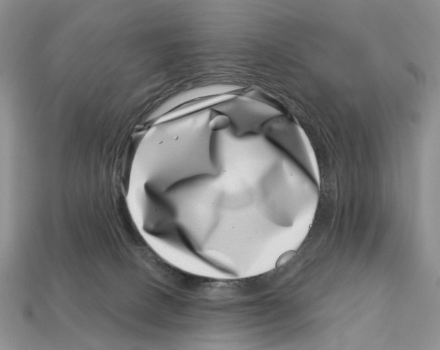 X0000113000082200909241310