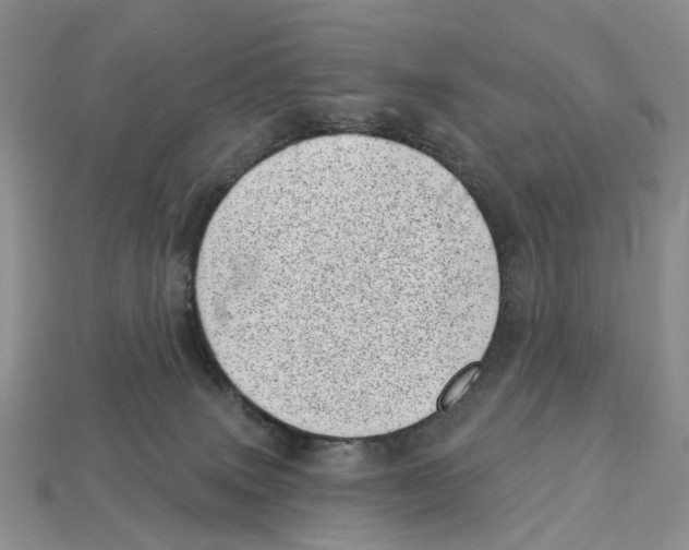 X0000113000083200909241310