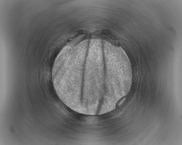 X0000113000085200909241310