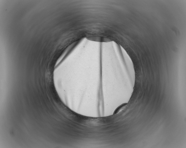 X0000113000086200909241310