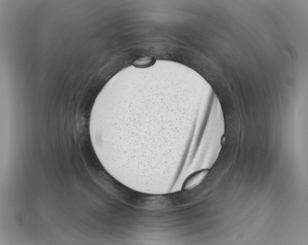 X0000113000087200909241310