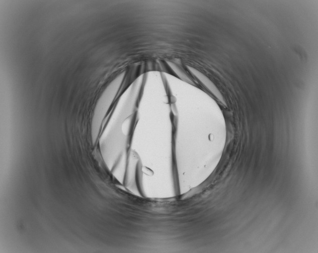 X0000113000088200909241310