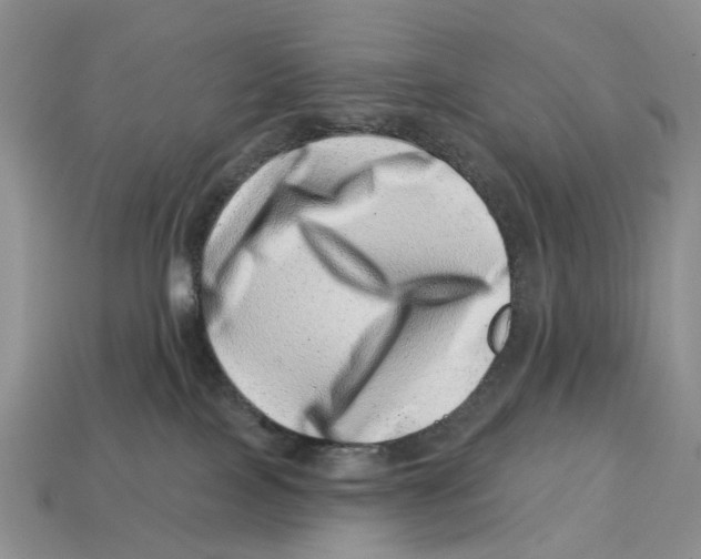 X0000113000089200909241310