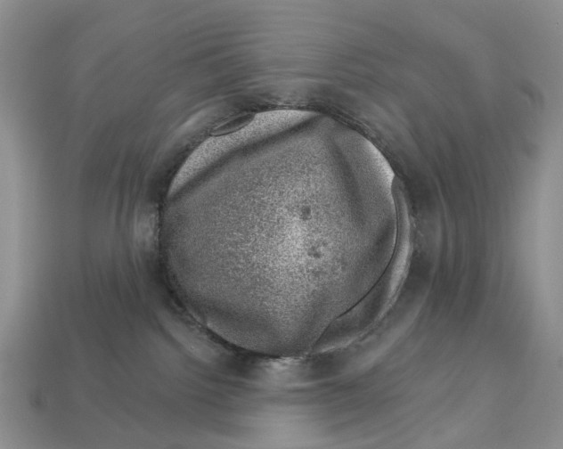 X0000113000092200909241310