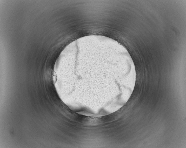 X0000113000093200909241310