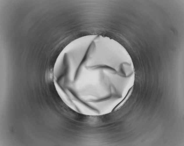 X0000113000095200909241310