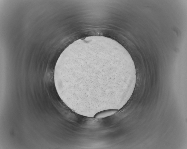 X0000113000096200909241310