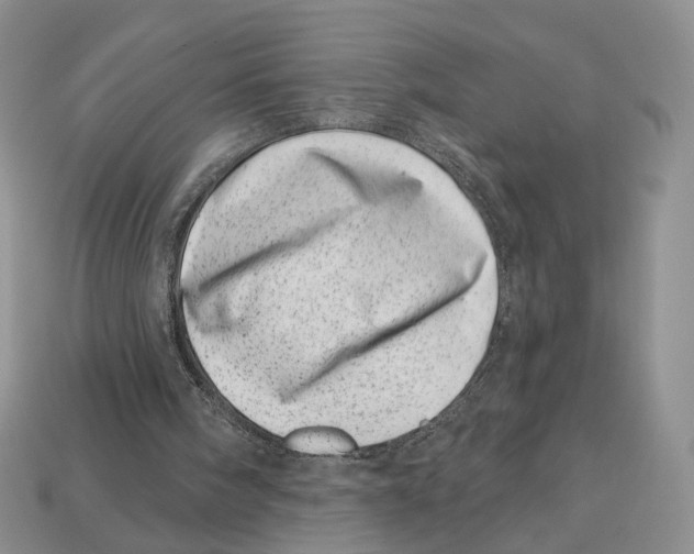 X0000113000098200909241310