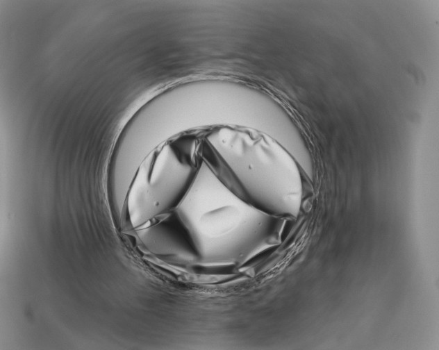 X0000113000100200909241310