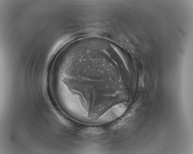 X0000113000101200909241310