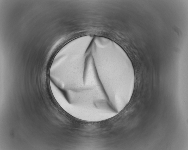 X0000113000102200909241310