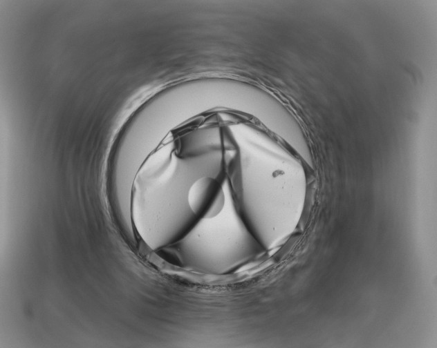 X0000113000104200909241310