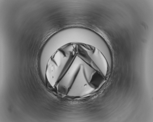 X0000113000105200909241310